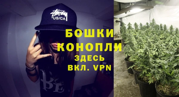 трава Аша