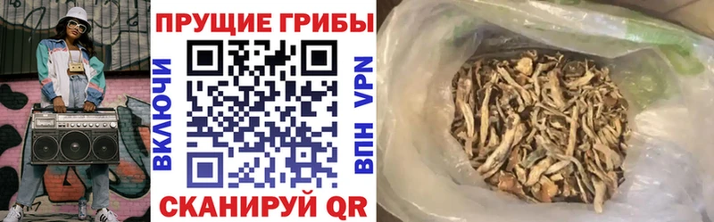 Псилоцибиновые грибы ЛСД  Купить  Кола 